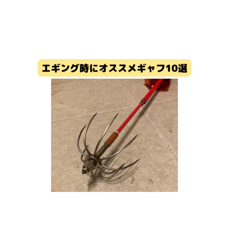 持っておきたい人気のエギング用ギャフ10選‼️メリットから選び方のポイントを紹介 - ニータのお気楽ブログ